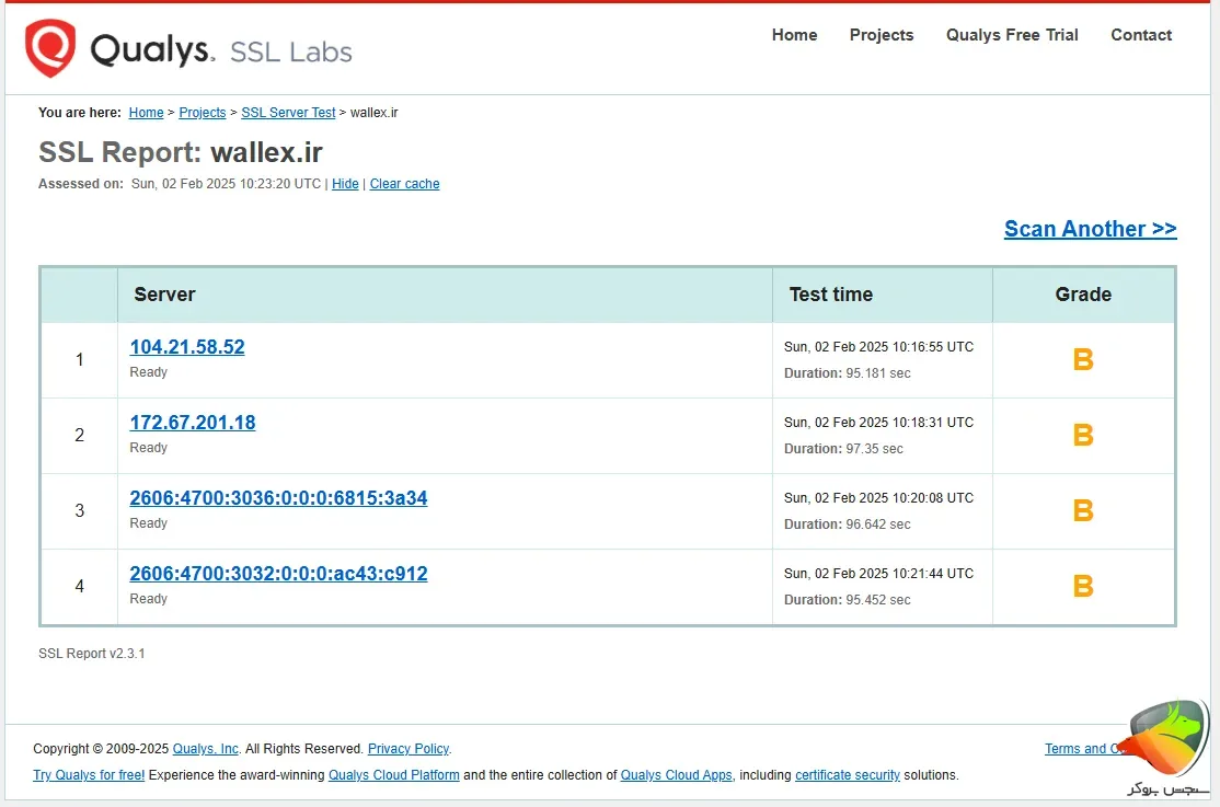 بررسی صرافی والکس در تست امنیتی Qualys