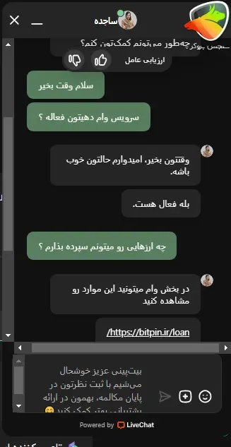 شرایط وام بیت پین