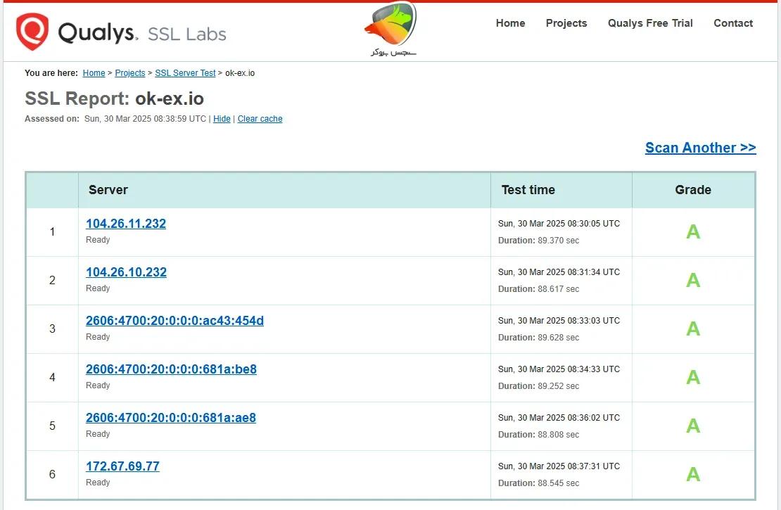 بررسی امنیت صرافی اکسچنج در پلتفرم Qualys