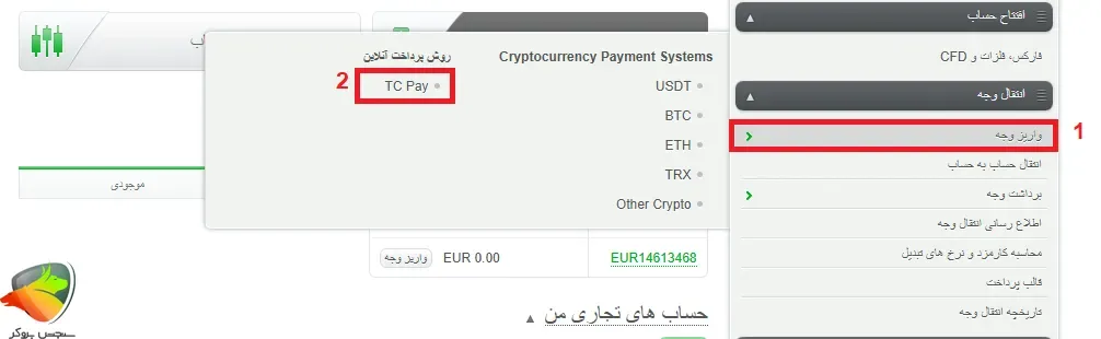 نحوه شارژ حساب آلپاری با تاپ چنج