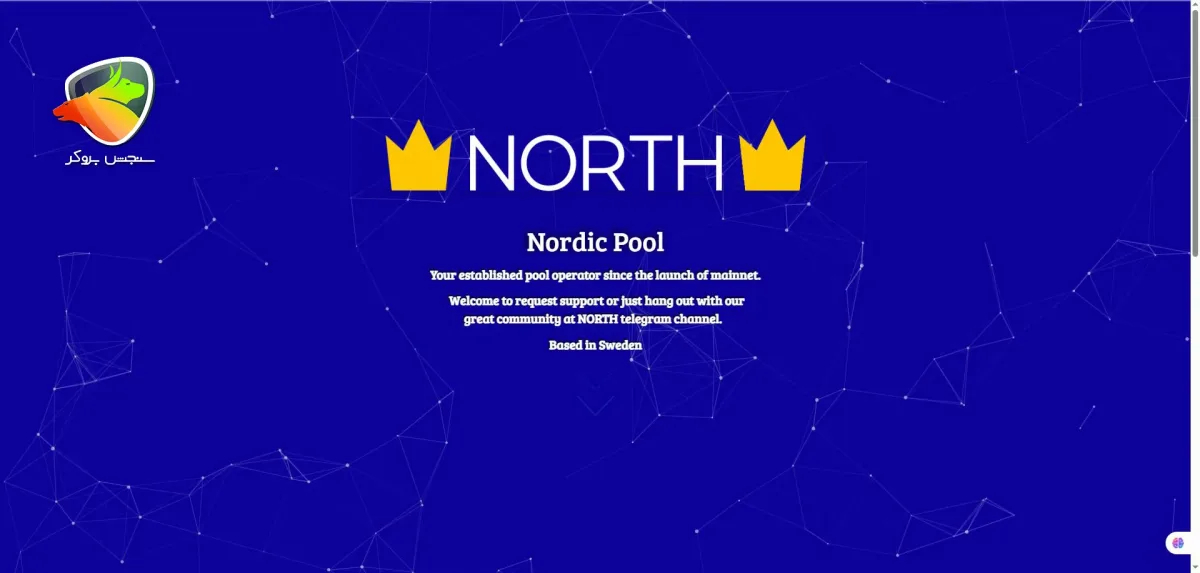 استخر استیکینگ Nordic Pool