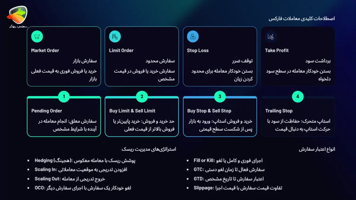 دستهبندی اصطلاحات فارکس