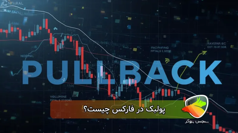 پولبک چیست؟(آموزش انواع + روش شناسایی)