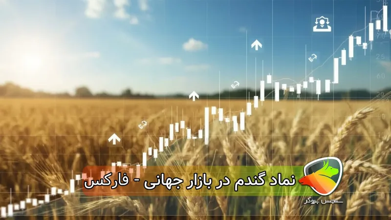 نماد گندم در بازار جهانی ( فارکس - تریدینگ ویو - متاتریدر)