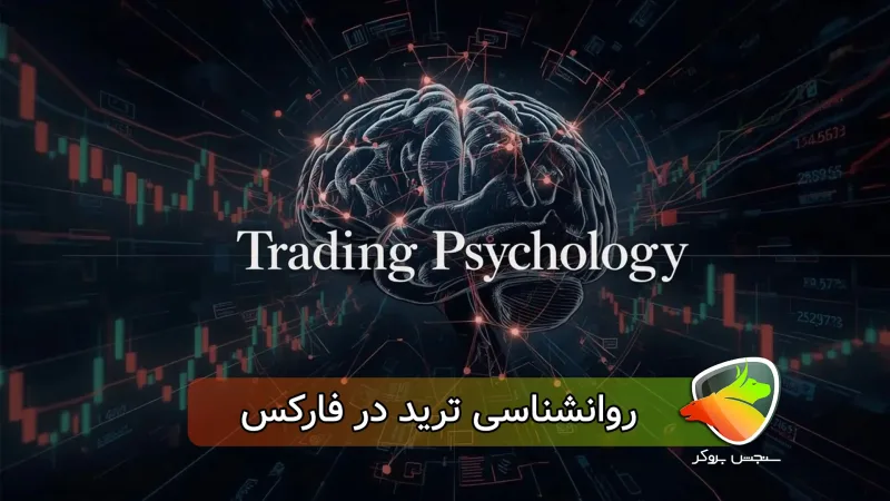آموزش روانشناسی تریدر (معامله گری در فارکس)